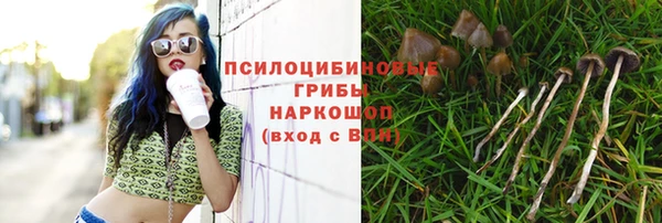 гашишное масло Горняк
