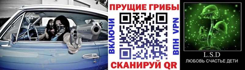 Галлюциногенные грибы прущие грибы  Купить где  Кохма 